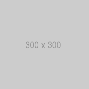 Sample 300x300 Sample 300x300
